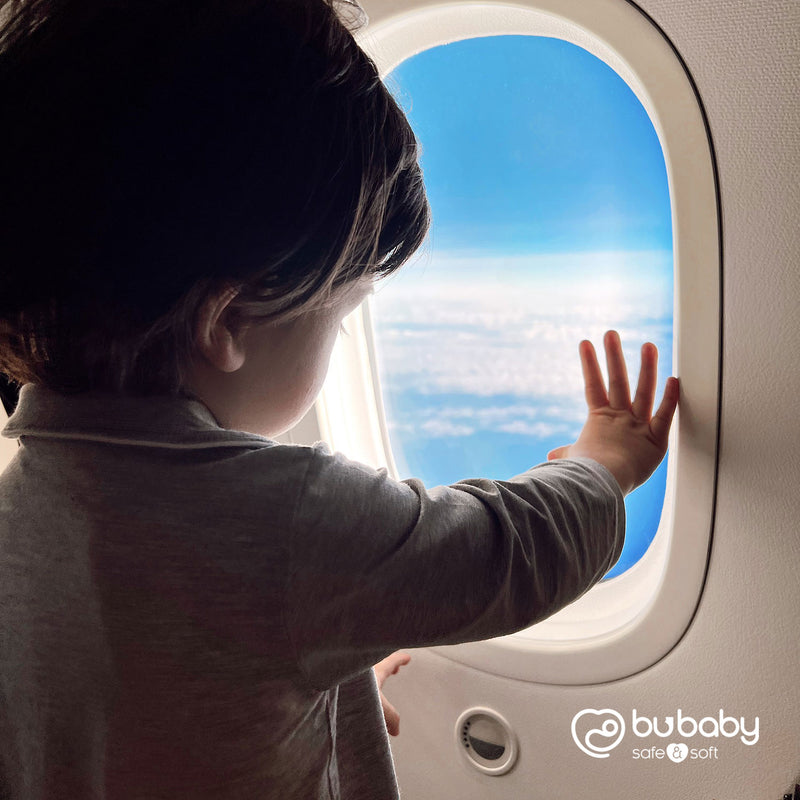 How to Travel With a Toddler on a Plane?